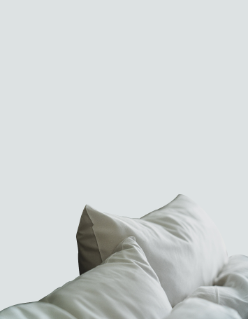 Zen Allergy Free Premium Silk Mattress &  Pillow Protectors
