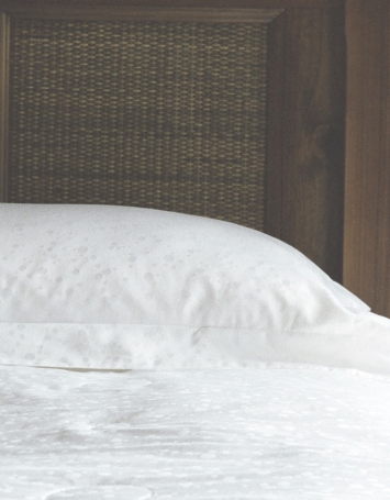 Zen Allergy Free Premium Silk Mattress &  Pillow Protectors