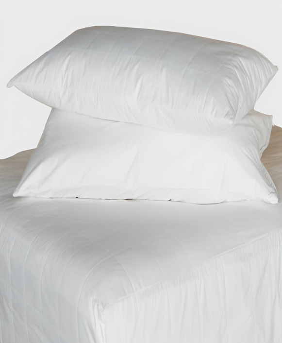 LuxeportPURE Silk Mattress and Pillow Protector Set