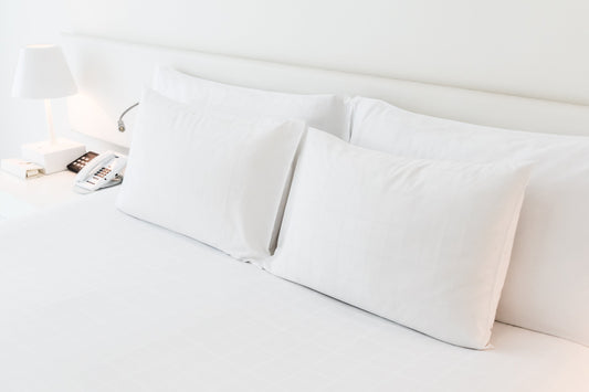 Luxeport Premium Silk Filled Pillow vs ZEN Silk Pillow: Which One is Right for You?